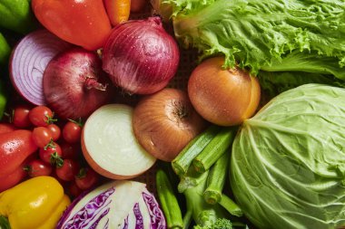 Taze ve lezzetli besleyici sebzeler.