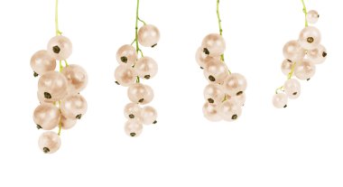 White currant on a white background clipart