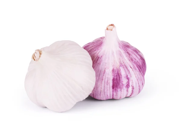 Fresh garlic isolated on white background — Stock Photo, Image