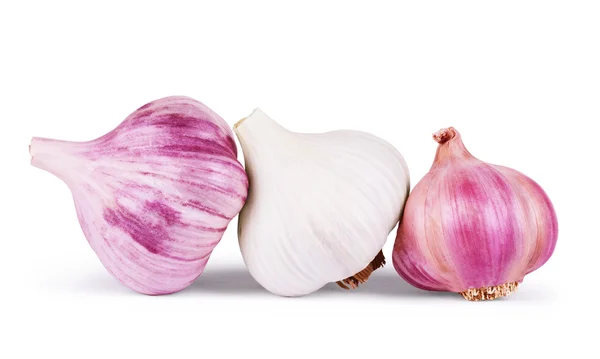Garlic. Group isolated on white background. — Stock Photo, Image