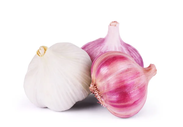 Garlic. Group isolated on white background. — Stock Photo, Image