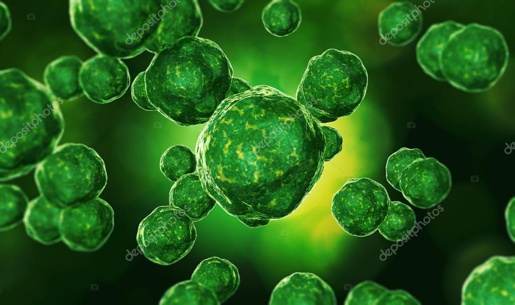 微生物图库照片 免版税微生物图片 Depositphotos 微生物图库照片 免版税微生物图片 Depositphotos
