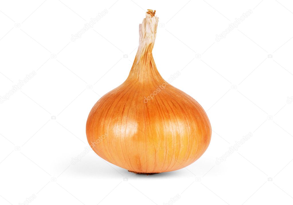 Ripe onion on a white background