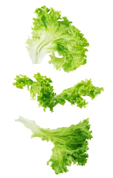 Sammlung von Salat isoliert auf weißem Hintergrund — Stockfoto