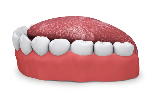 Käke med tänder och tunga på en vit bakgrund 3d rendering — Stockfoto