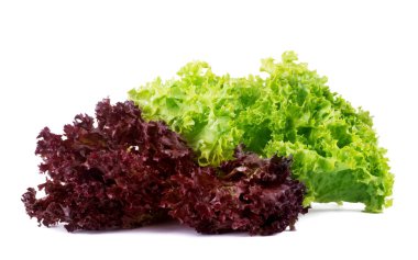 Beyaz arka plan üzerinde lollo Rosso izole sebze salatası marul