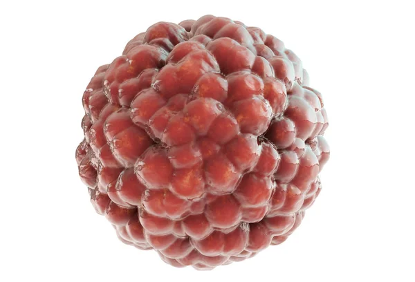 흰색 배경 3d 렌더링에 빨간 해로운 바이러스 셀 — 스톡 사진