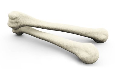 femur tıbben doğru 3d çizim