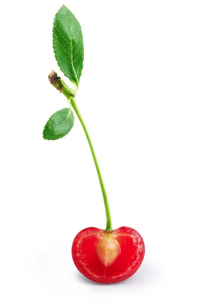 图像的新鲜单樱桃减少一半上白色隔离 — 图库照片