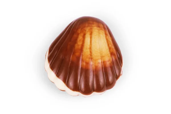 白い背景の上のチョコレートの貝殻 — ストック写真