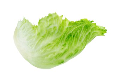 Beyaz arka plan üzerinde avuç taze roka yaprakları