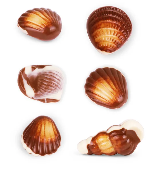 白背景セットでチョコレートの貝殻 — ストック写真