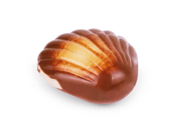 白い背景の上のチョコレートの貝殻 — ストック写真