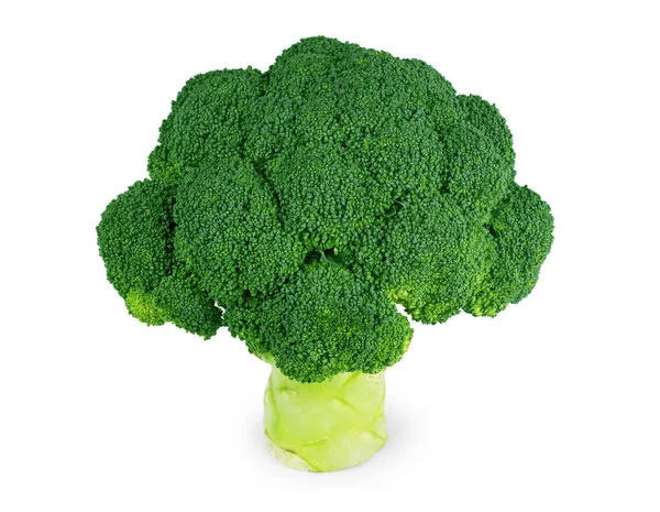 Fresh broccoli isolated on white background — Stock Photo, Image