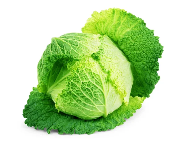 Zelí zelenina izolovaných na bílém pozadí — Stock fotografie