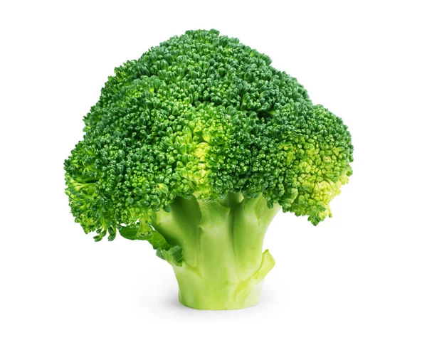 Fresh broccoli isolated on white background — Stock Photo, Image