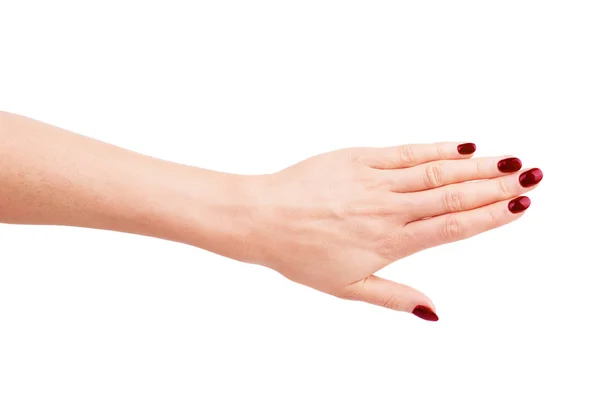 De handen van de vrouw met nette manicure. Geïsoleerd op witte achtergrond. — Stockfoto