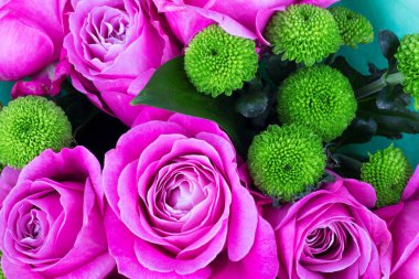 Parlak pembe Gül arka plan. Pembe Gül arka plan. Pembe Gül 