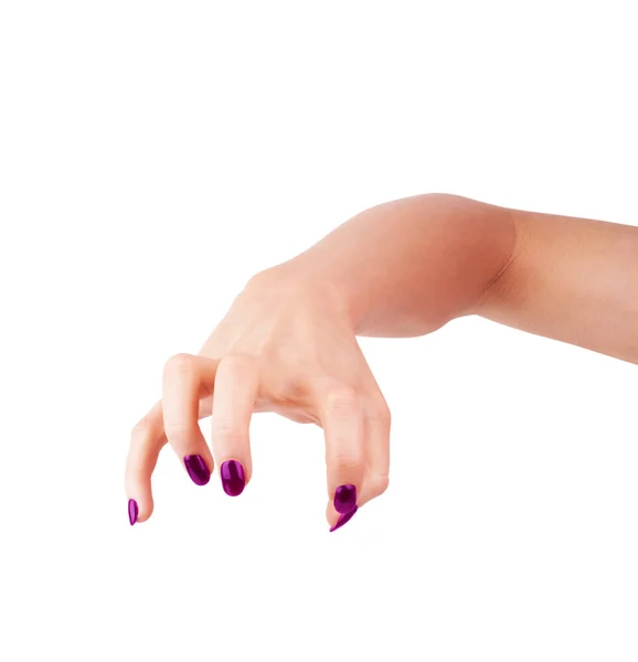 De handen van de vrouw met nette manicure. Geïsoleerd op witte achtergrond. — Stockfoto