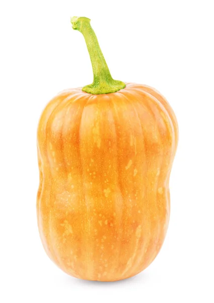 Rebanada de cubo de calabaza vegetal aislada sobre fondo blanco — Foto de Stock