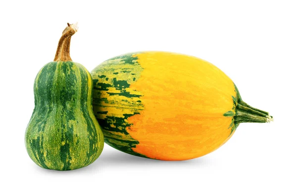 Two different pumpkins on a white background — Stock Photo, Image