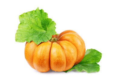 Beyaz arka planda yaprağı olan büyük, güzel bir balkabağı.