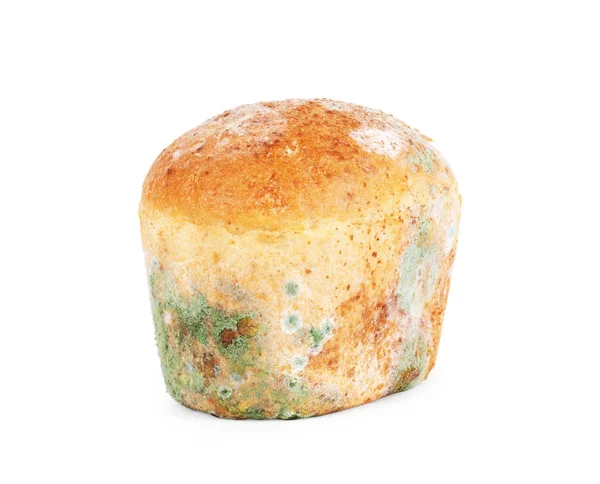 Mold on bread on a white background — Stok Foto