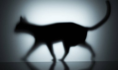 Duvarda gölgeyle yürüyen bir kedinin 3 boyutlu görüntüsü