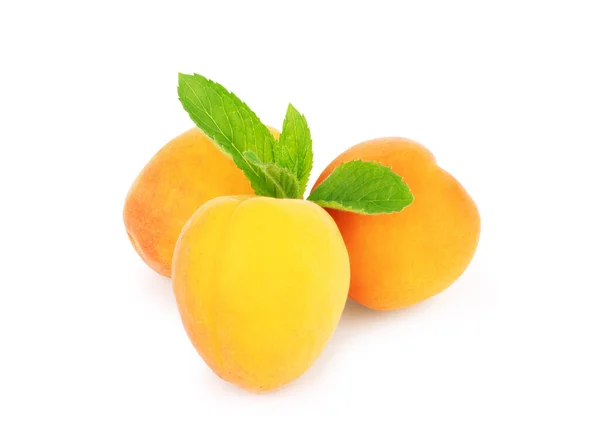 Three Apricots Fruits Mint Leaf Isolated — Stock Photo, Image