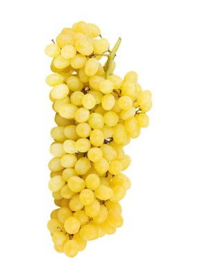 Beyaz arkaplanda izole edilmiş yeşil üzümler