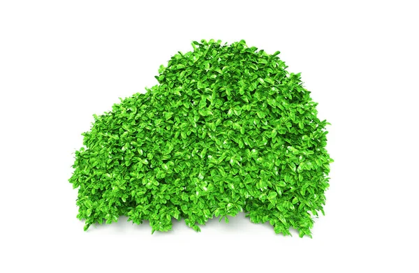 Bush Basil Render Isolated White — Stock Photo, Image