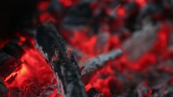 Carvões em chamas, fundo de carvão brilhante — Vídeo de Stock