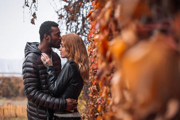 秋にポーズをとる異人種間のカップル｜background — ストック写真