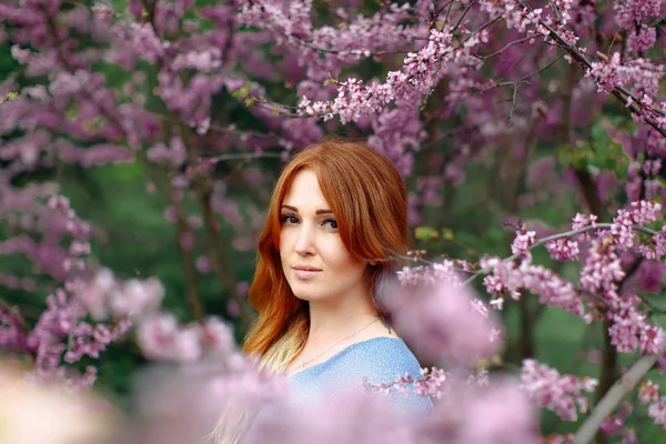 Vacker mysigt rödhårig kvinna i vårtid blomma körsbärsträd trädgård. — Stockfoto