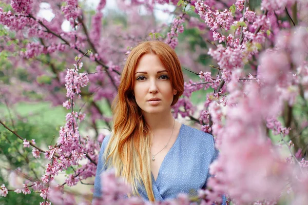 Vackra drömmer Redhead kvinna i vårtid blomma körsbärsträd trädgård. — Stockfoto