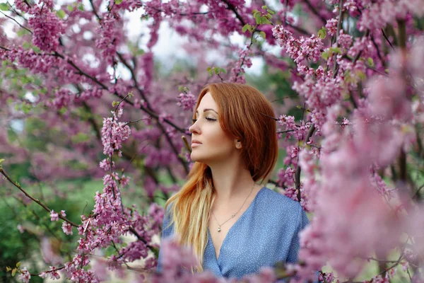 Hermosa mujer pelirroja soñando en primavera flor cerezos jardín . — Foto de Stock