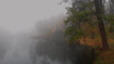 Sonbahar parkında, Ukrayna 'da küçük bir gölün üzerindeki renkli ağaçların hava aracı görüntüleri.