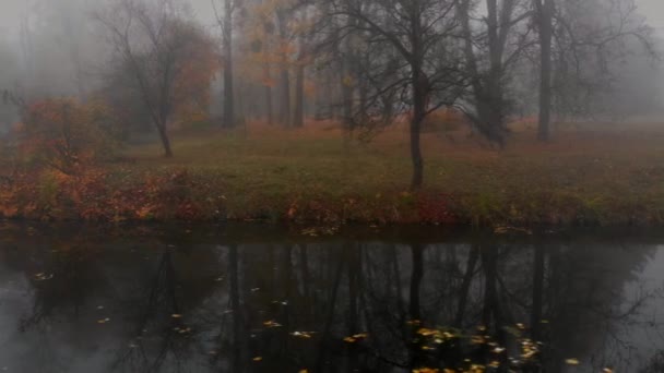 秋の公園 ウクライナの霧の中で小さな湖の上にカラフルな木の空中ドローンショット — ストック動画