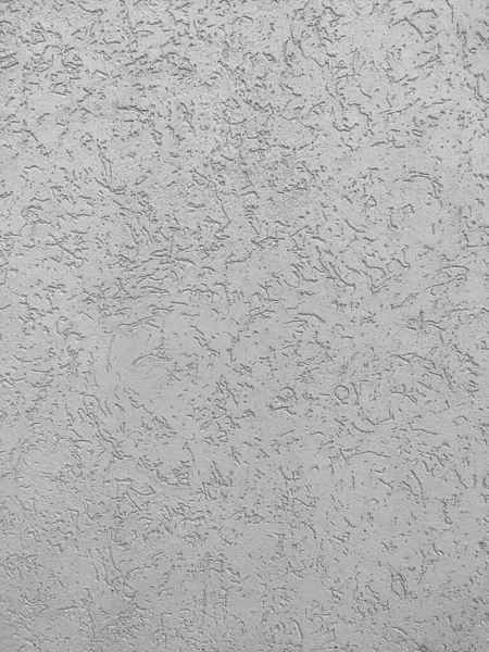 The texture of the plaster is bark beetle on the wall. Seamless grey texture. — Stock Image Texture Plaster Bark Beetle Wall Seamless Grey Texture Royalty Free Stock Photos