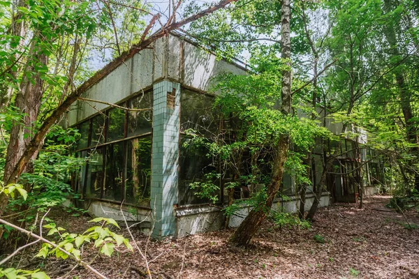 Elhagyott Bolt Szellemvárosban Pripyat Chornobyl Zone Sugárzás Nukleáris Katasztrófa — Stock Fotó