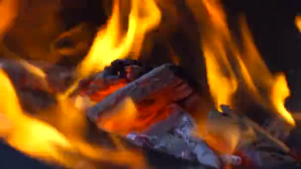 Close View Burning Coal Fire Glowing Charcoal Background Krb Bonfire — Stock video