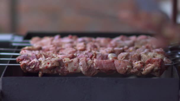 Matlagning Kött För Utomhus Grill Närbild Fläskkött Grill Träkol Grill — Stockvideo