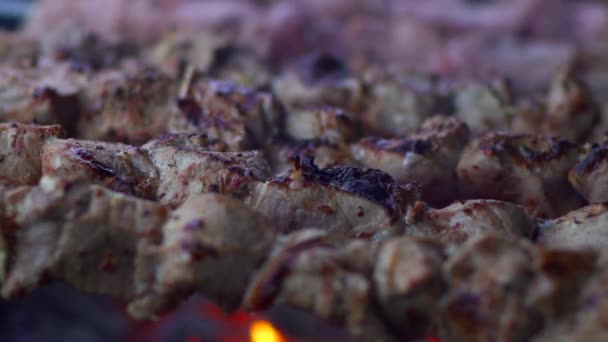 Cocinar Carne Para Barbacoa Aire Libre Cierre Barbacoa Carne Cerdo — Vídeo de stock