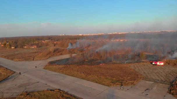 De brandweer blust het brandende gele droge gras uit. 4k luchtschot — Stockvideo