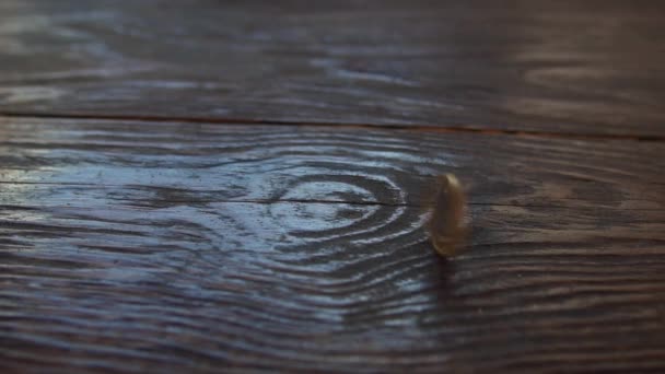 One Euro coin spinning in slow motion on wooden background — Stock Video