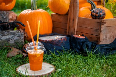 Arka planda balkabağı süslemesi olan Cadılar Bayramı kokteyli. Parti için yumruk. Jack-o-Fener. 
