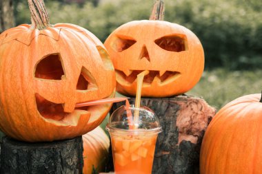 Arka planda kabak dekorasyon yakınında Cadılar Bayramı kokteyli. Bir parti için yumruk. İki Jack-o-Lantern içiyor. Tonlu fotoğraf.