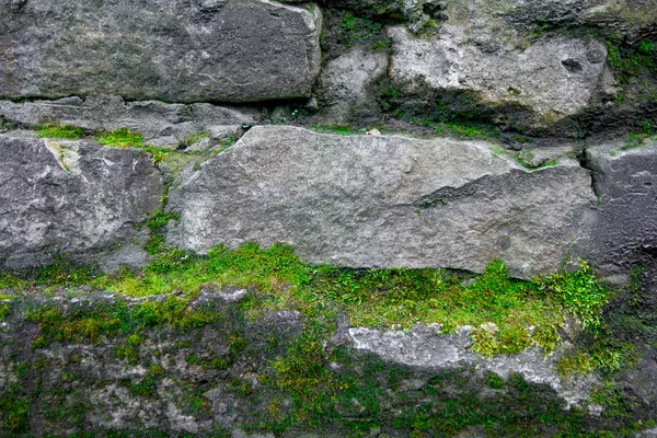 Moss and stone background. Texture of brick wall.  The old rock in the wood -grown. — Stock Photo, Image