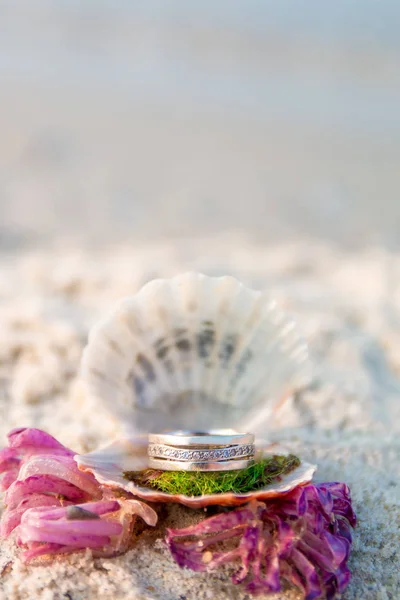 Anel de noivado em concha aberta na praia do oceano. Espaço para cópia. Quadro . — Fotografia de Stock