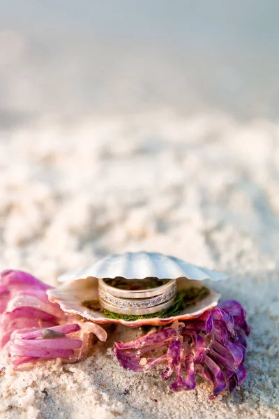 Eljegyzési gyűrűt a nyitott seashell az óceán parton. Másolja a hely. Keret. — Stock Fotó